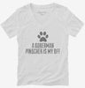 Cute Doberman Pinscher Dog Breed Womens Vneck Shirt 666x695.jpg?v=1700513464