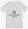 Cute Dogue De Bordeaux Dog Breed Womens Vneck Shirt 666x695.jpg?v=1700469964