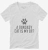 Cute Donskoy Cat Breed Womens Vneck Shirt 666x695.jpg?v=1700429793