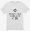 Cute Egyptian Mau Cat Breed Shirt 666x695.jpg?v=1700429832