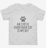 Cute Exotic Shorthair Cat Breed Toddler Shirt 666x695.jpg?v=1700429879