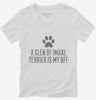 Cute Glen Of Imaal Terrier Dog Breed Womens Vneck Shirt 666x695.jpg?v=1700488639
