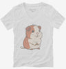 Cute Guinea Pig Womens Vneck Shirt 666x695.jpg?v=1700300830