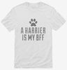 Cute Harrier Dog Breed Shirt 666x695.jpg?v=1700504208