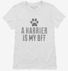 Cute Harrier Dog Breed Womens Shirt 666x695.jpg?v=1700504208