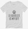 Cute Harrier Dog Breed Womens Vneck Shirt 666x695.jpg?v=1700504208