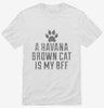 Cute Havana Brown Cat Breed Shirt 666x695.jpg?v=1700429918