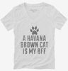 Cute Havana Brown Cat Breed Womens Vneck Shirt 666x695.jpg?v=1700429918