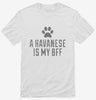 Cute Havanese Dog Breed Shirt 666x695.jpg?v=1700486537