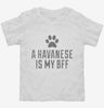 Cute Havanese Dog Breed Toddler Shirt 666x695.jpg?v=1700486537