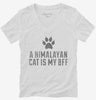 Cute Himalayan Cat Breed Womens Vneck Shirt 666x695.jpg?v=1700429957