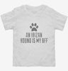 Cute Ibizan Hound Dog Breed Toddler Shirt 666x695.jpg?v=1700483263