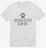 Cute Irish Setter Dog Breed Shirt 666x695.jpg?v=1700490922