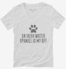 Cute Irish Water Spaniel Dog Breed Womens Vneck Shirt 666x695.jpg?v=1700509725