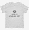 Cute Italian Greyhound Dog Breed Toddler Shirt 666x695.jpg?v=1700473292
