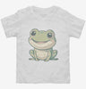 Cute Kawaii Frog Toddler Shirt 666x695.jpg?v=1700299371