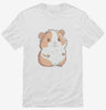 Cute Kawaii Guinea Pig Shirt 666x695.jpg?v=1700300869