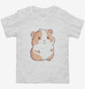 Cute Kawaii Guinea Pig Toddler Shirt 666x695.jpg?v=1700300869