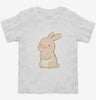 Cute Kawaii Rabbit Toddler Shirt 666x695.jpg?v=1707282318