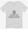 Cute Kerry Blue Terrier Dog Breed Womens Vneck Shirt 666x695.jpg?v=1700480532