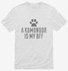 Cute Komondor Dog Breed Shirt 666x695.jpg?v=1700471641