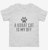 Cute Korat Cat Breed Toddler Shirt 666x695.jpg?v=1700430143