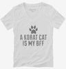 Cute Korat Cat Breed Womens Vneck Shirt 666x695.jpg?v=1700430143