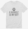 Cute Kuvasz Dog Breed Shirt 666x695.jpg?v=1700467265