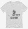 Cute Leonberger Dog Breed Womens Vneck Shirt 666x695.jpg?v=1700504643