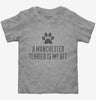 Cute Manchester Terrier Dog Breed Toddler