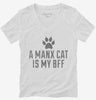 Cute Manx Cat Breed Womens Vneck Shirt 666x695.jpg?v=1700430426