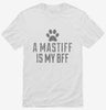 Cute Mastiff Dog Breed Shirt 666x695.jpg?v=1700470774