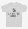 Cute Minuet Cat Breed Youth