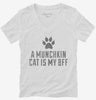 Cute Munchkin Cat Breed Womens Vneck Shirt 666x695.jpg?v=1700430517