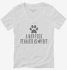 Cute Norfolk Terrier Dog Breed Womens Vneck Shirt 666x695.jpg?v=1700505840