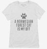 Cute Norwegian Forest Cat Breed Womens Shirt 666x695.jpg?v=1700430607