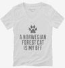 Cute Norwegian Forest Cat Breed Womens Vneck Shirt 666x695.jpg?v=1700430607