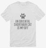 Cute Oriental Shorthair Cat Breed Shirt 666x695.jpg?v=1700430737