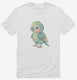 Cute Parrot  Mens