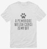 Cute Pembroke Welsh Corgi Dog Breed Shirt 666x695.jpg?v=1700481253