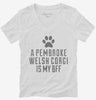 Cute Pembroke Welsh Corgi Dog Breed Womens Vneck Shirt 666x695.jpg?v=1700481253