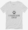 Cute Pharaoh Hound Dog Breed Womens Vneck Shirt 666x695.jpg?v=1700475897