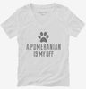 Cute Pomeranian Dog Breed Womens Vneck Shirt 666x695.jpg?v=1700504259