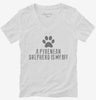 Cute Pyrenean Shepherd Dog Breed Womens Vneck Shirt 666x695.jpg?v=1700491352