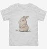Cute Rabbit Toddler Shirt 666x695.jpg?v=1700303635