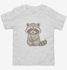 Cute Raccoon Toddler Shirt 666x695.jpg?v=1700298752