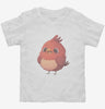 Cute Red Bird Toddler Shirt 666x695.jpg?v=1700299505