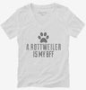 Cute Rottweiler Dog Breed Womens Vneck Shirt 666x695.jpg?v=1700480814