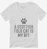 Cute Scottish Fold Cat Breed Womens Vneck Shirt 666x695.jpg?v=1700431087