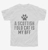 Cute Scottish Fold Cat Breed Youth